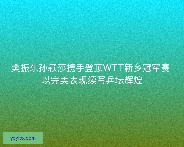 樊振东孙颖莎携手登顶WTT新乡冠军赛 以完美表现续写乒坛辉煌