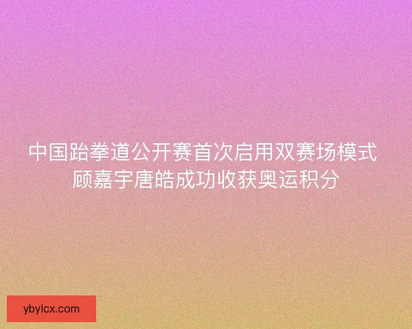 中国跆拳道公开赛首次启用双赛场模式 顾嘉宇唐皓成功收获奥运积分