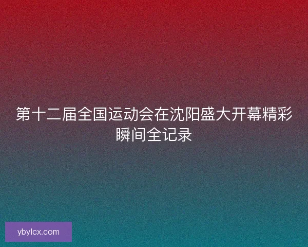 第十二届全国运动会在沈阳盛大开幕精彩瞬间全记录